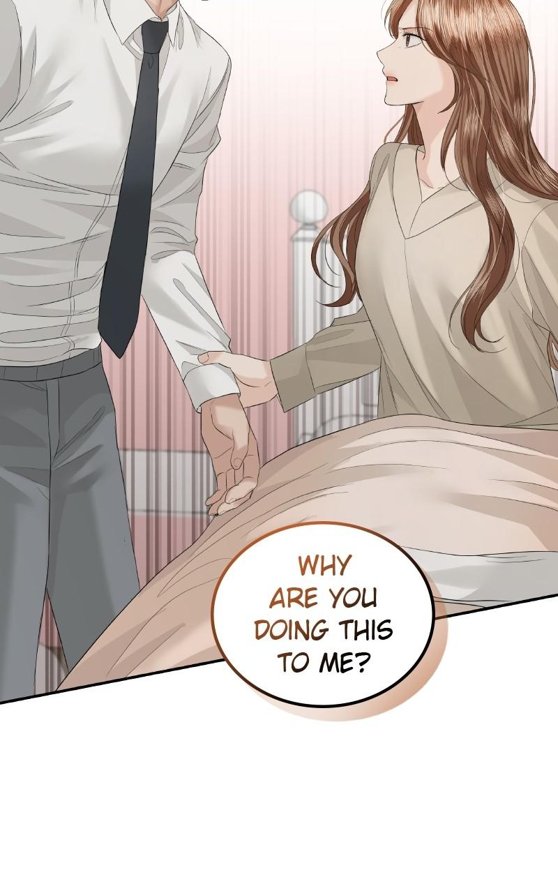 Read Perfect Marriage Revenge EN Manga Online