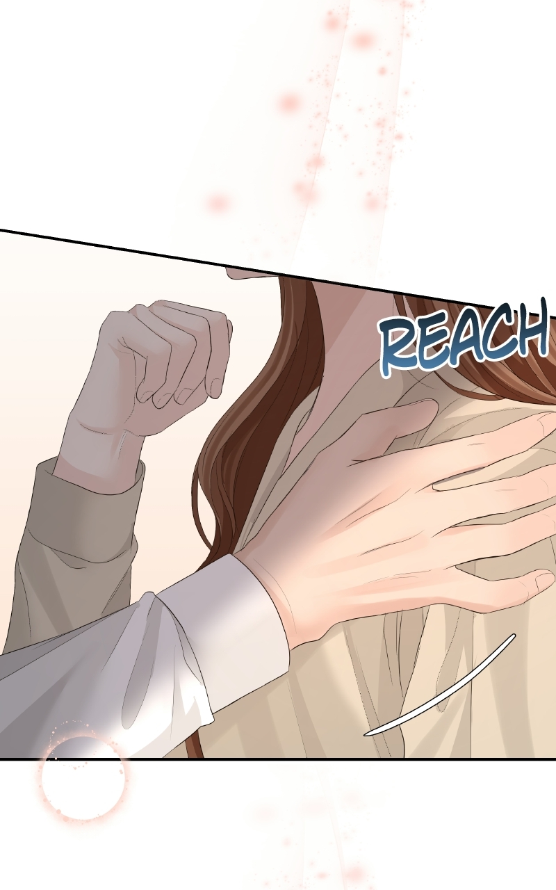 Read Perfect Marriage Revenge EN Manga Online