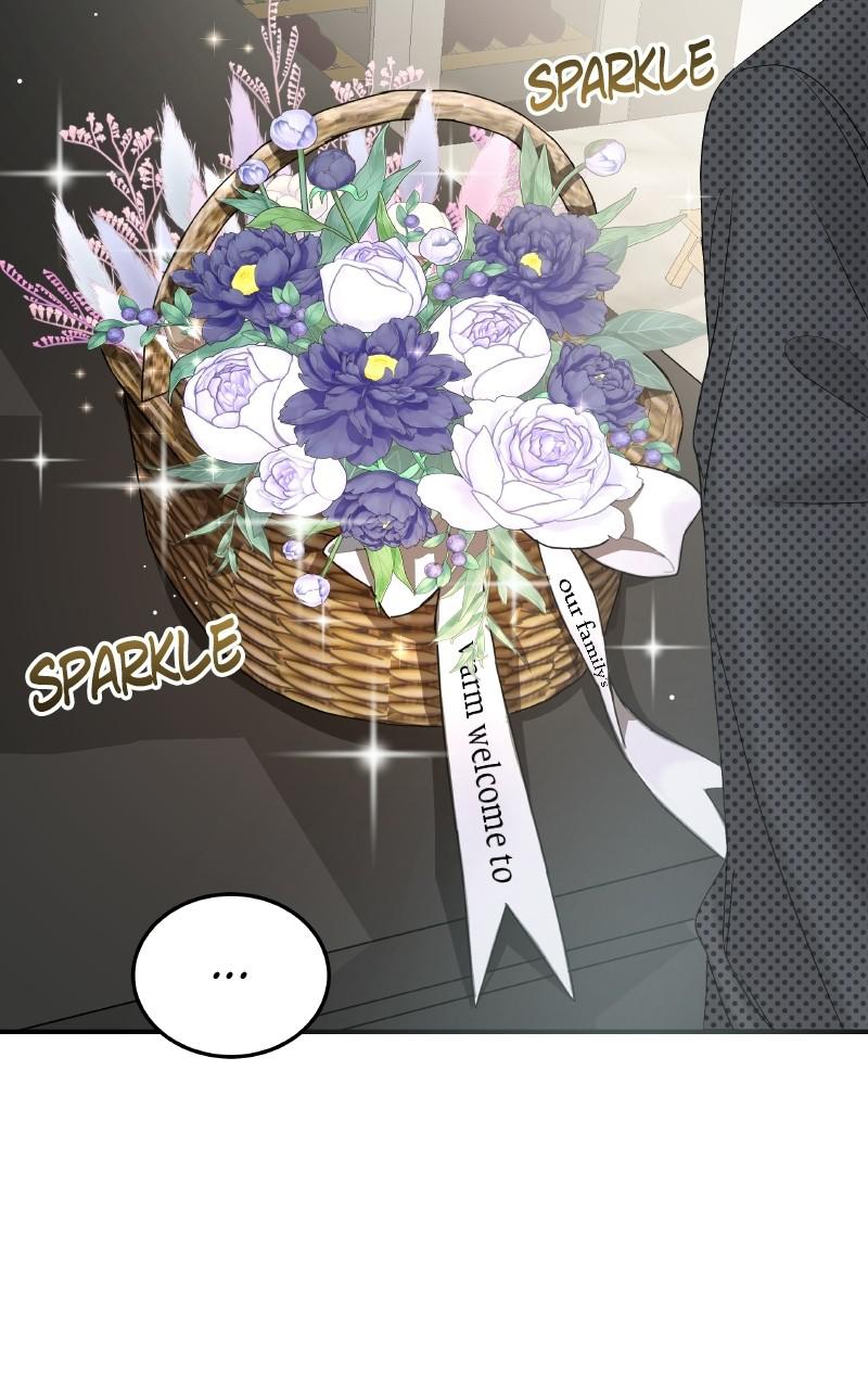 Read Perfect Marriage Revenge EN Manga Online