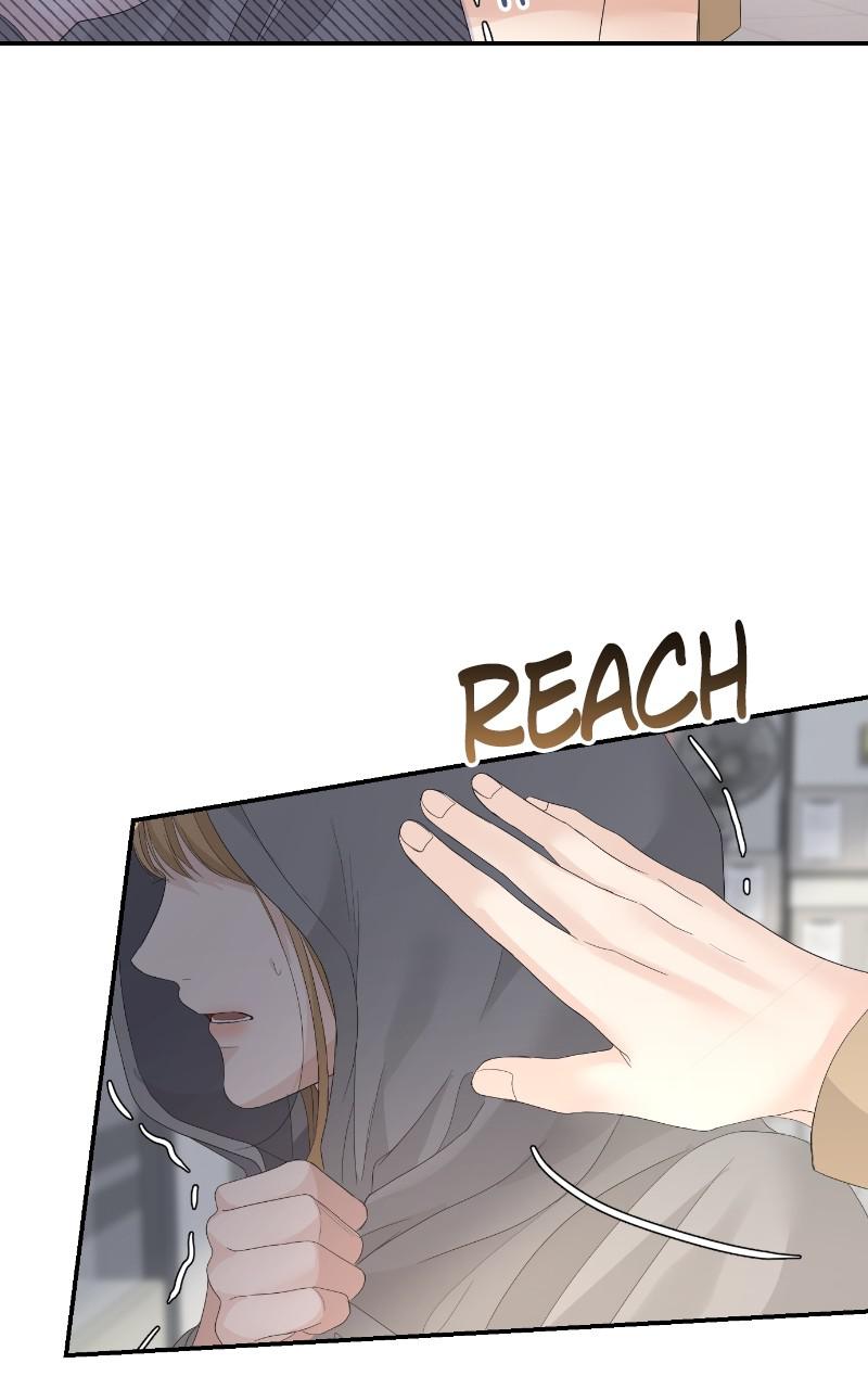 Read Perfect Marriage Revenge EN Manga Online