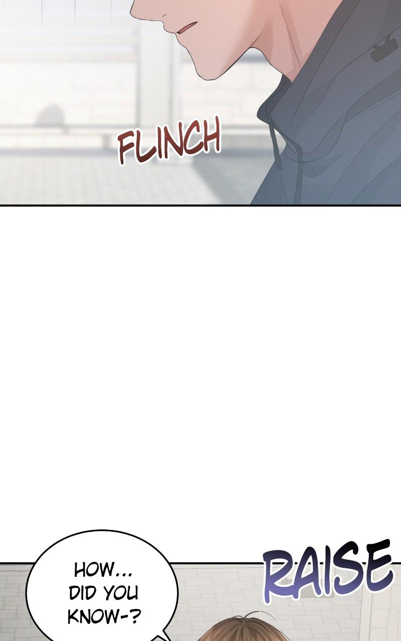 Read Perfect Marriage Revenge EN Manga Online