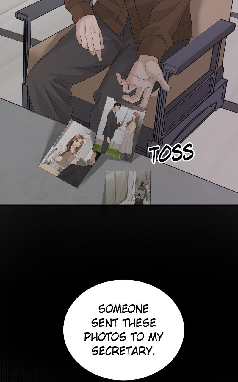 Read Perfect Marriage Revenge EN Manga Online