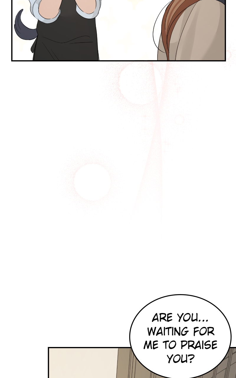 Read Perfect Marriage Revenge EN Manga Online