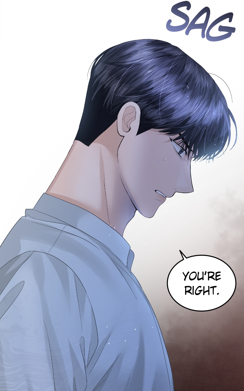 Read Perfect Marriage Revenge EN Manga Online