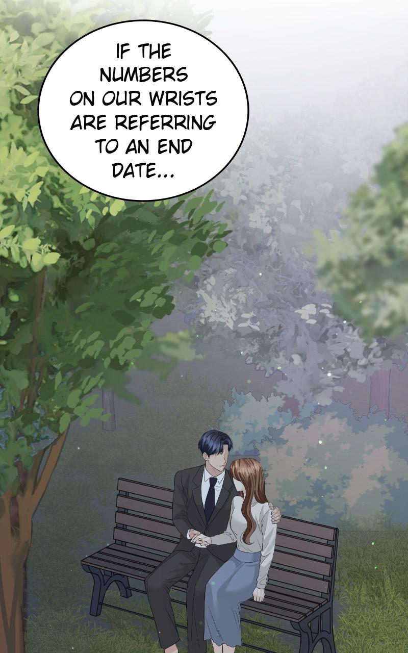 Read Perfect Marriage Revenge EN Manga Online