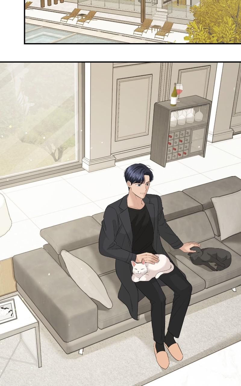 Read Perfect Marriage Revenge EN Manga Online