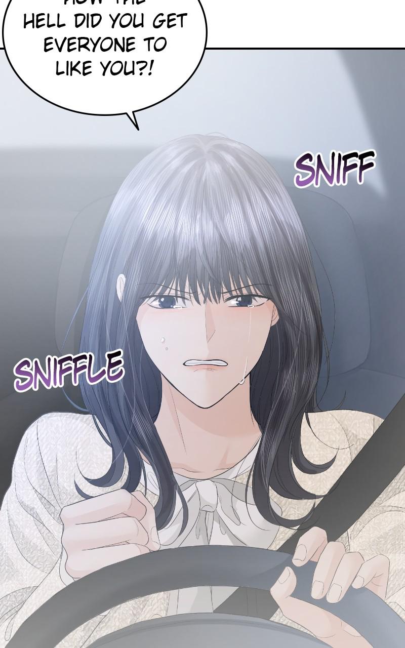 Read Perfect Marriage Revenge EN Manga Online