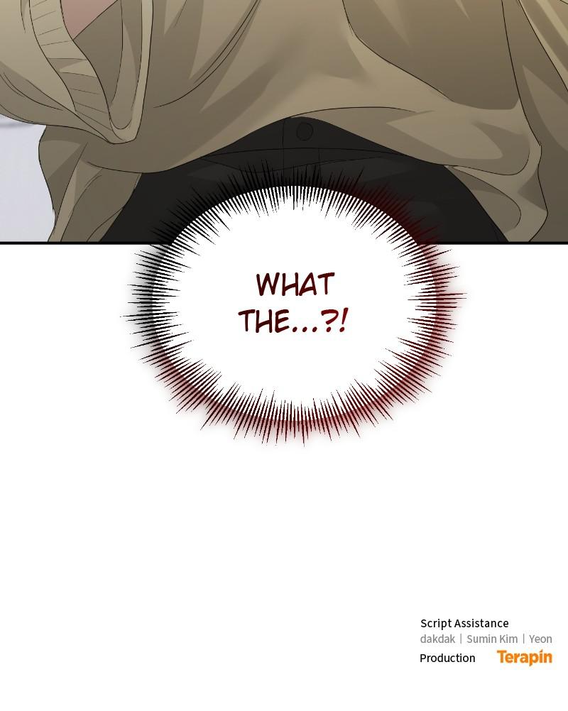 Read Perfect Marriage Revenge EN Manga Online