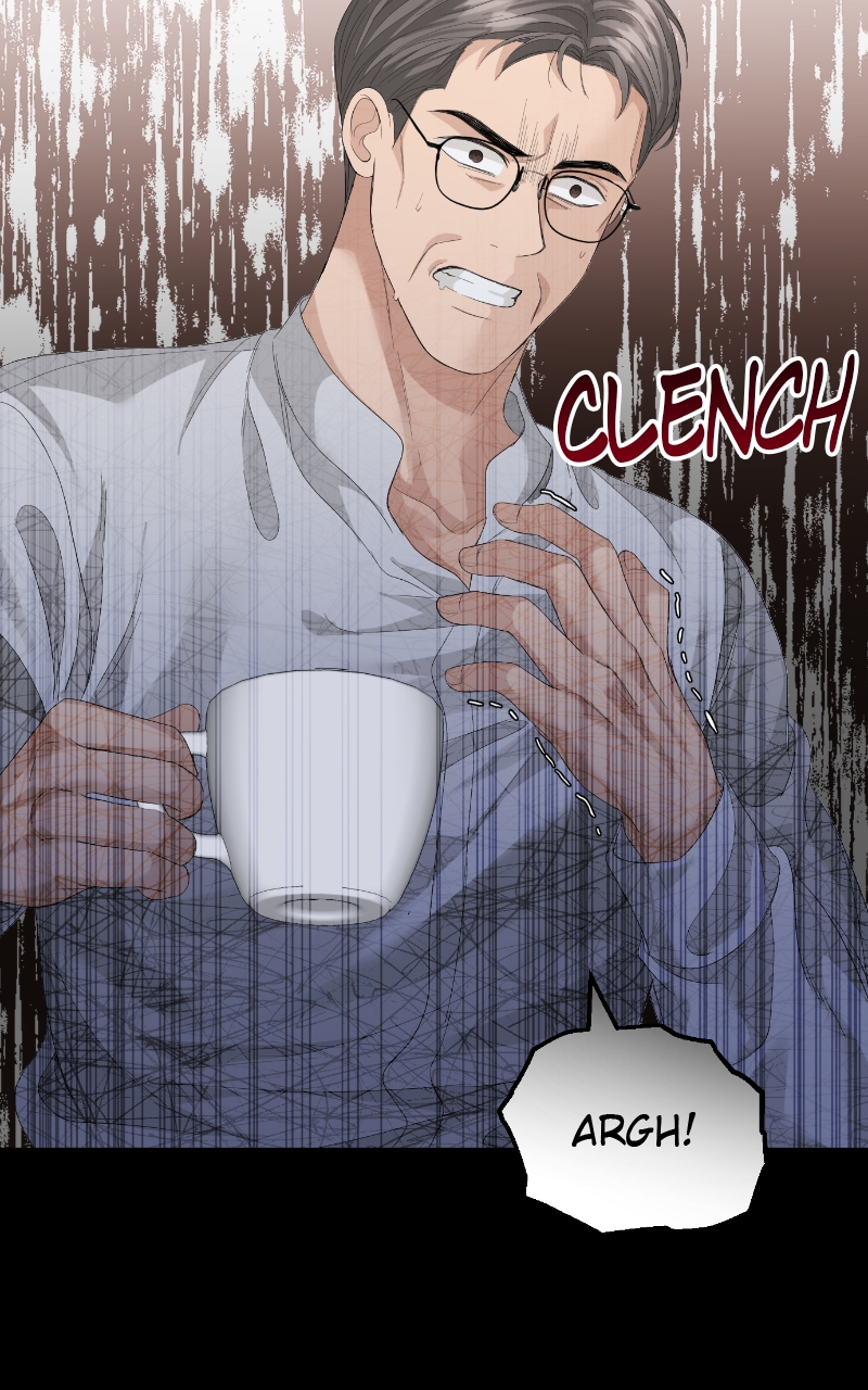 Read Perfect Marriage Revenge EN Manga Online