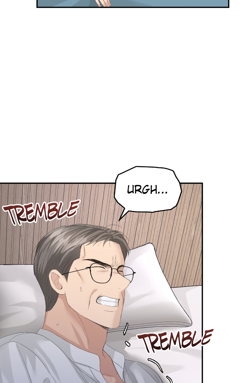 Read Perfect Marriage Revenge EN Manga Online