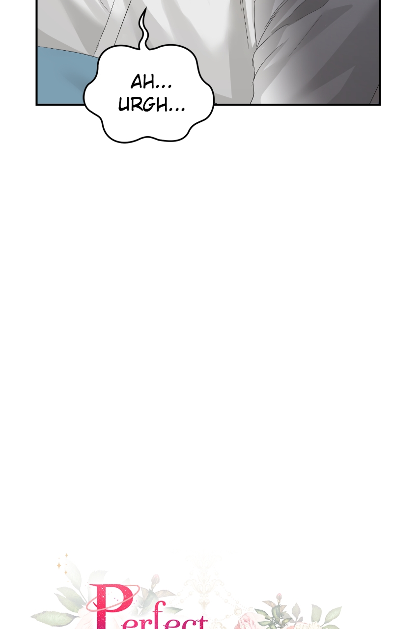 Read Perfect Marriage Revenge EN Manga Online