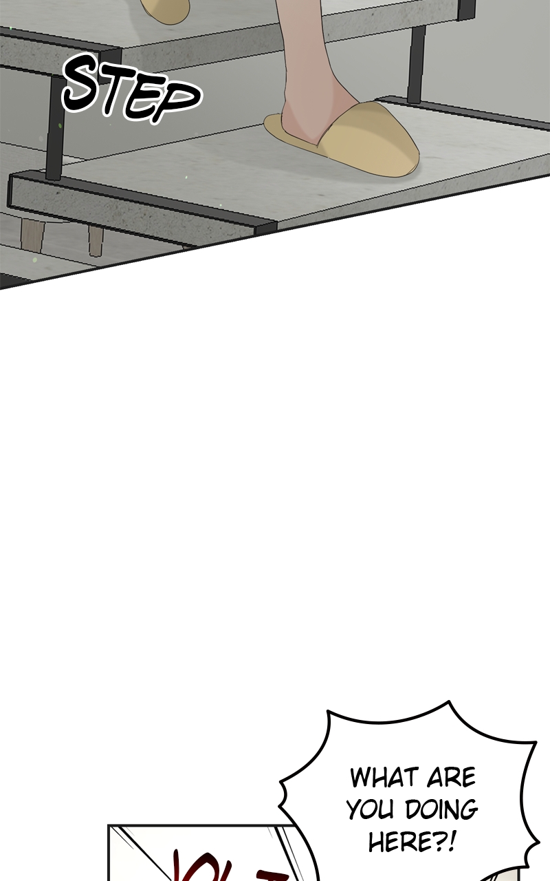 Read Perfect Marriage Revenge EN Manga Online