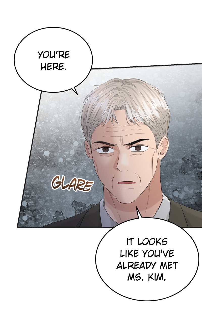 Read Perfect Marriage Revenge EN Manga Online