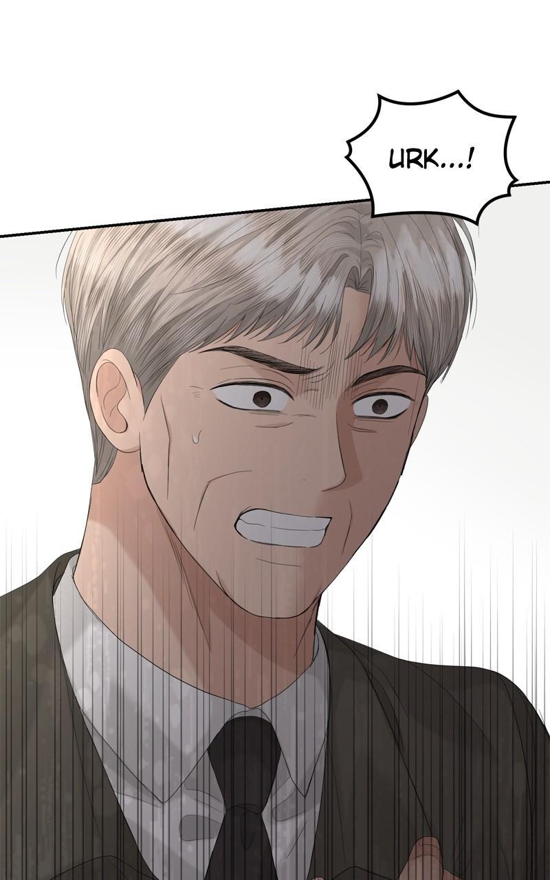 Read Perfect Marriage Revenge EN Manga Online