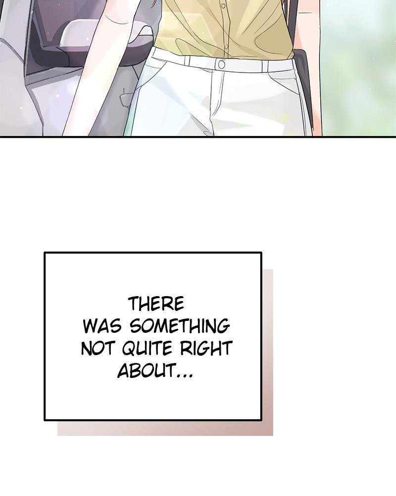 Read Perfect Marriage Revenge EN Manga Online