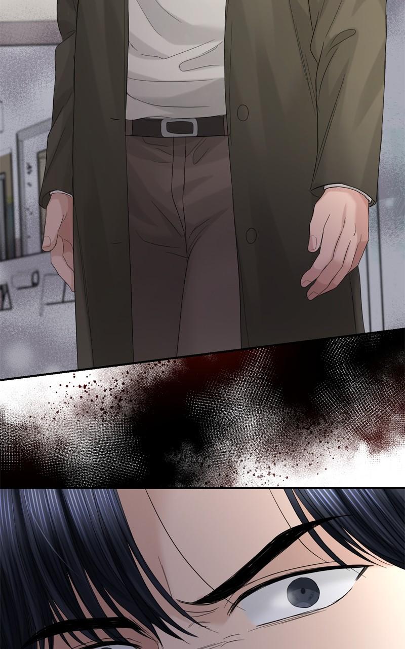 Read Perfect Marriage Revenge EN Manga Online