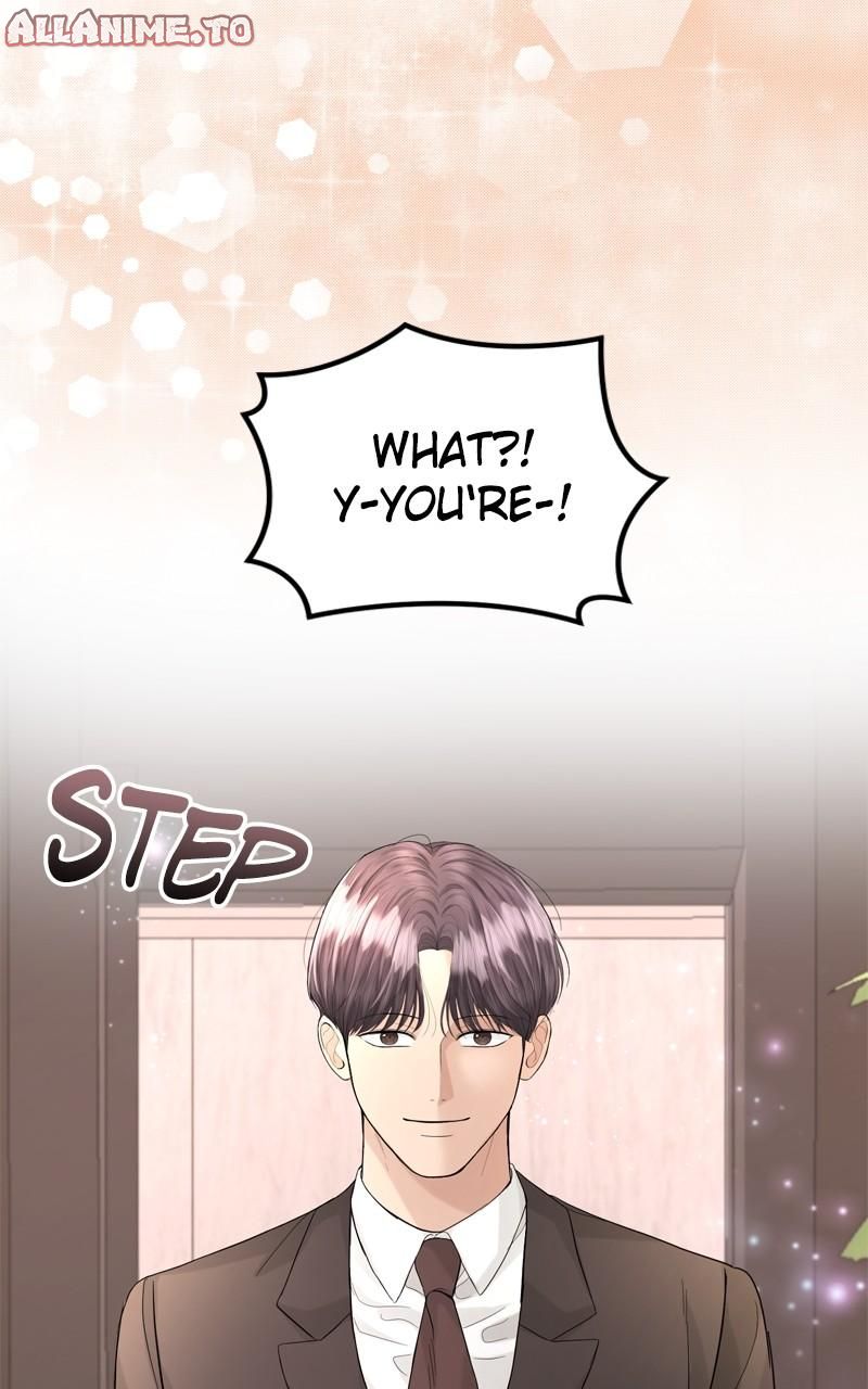 Read Perfect Marriage Revenge EN Manga Online