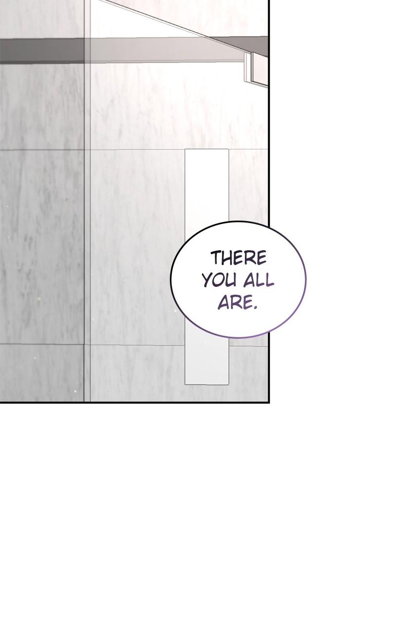 Read Perfect Marriage Revenge EN Manga Online