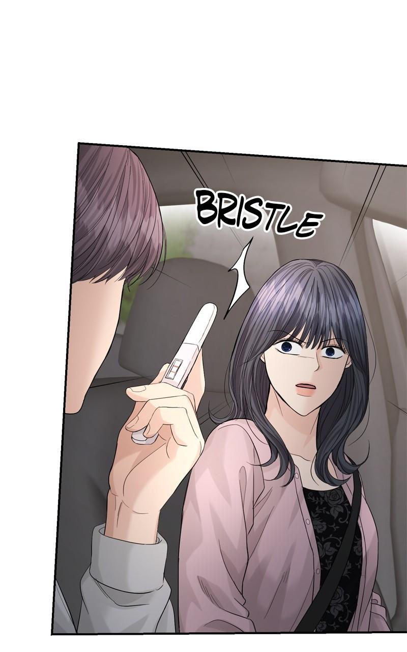 Read Perfect Marriage Revenge EN Manga Online