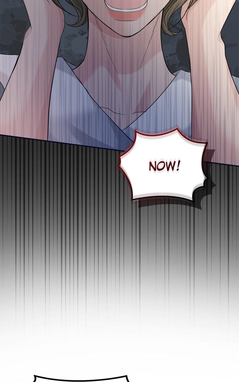 Read Perfect Marriage Revenge EN Manga Online