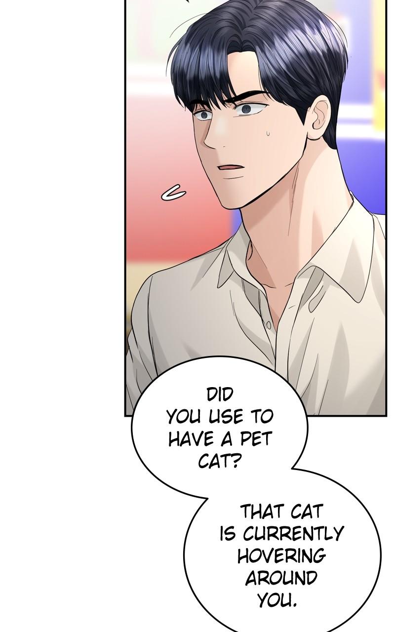 Read Perfect Marriage Revenge EN Manga Online