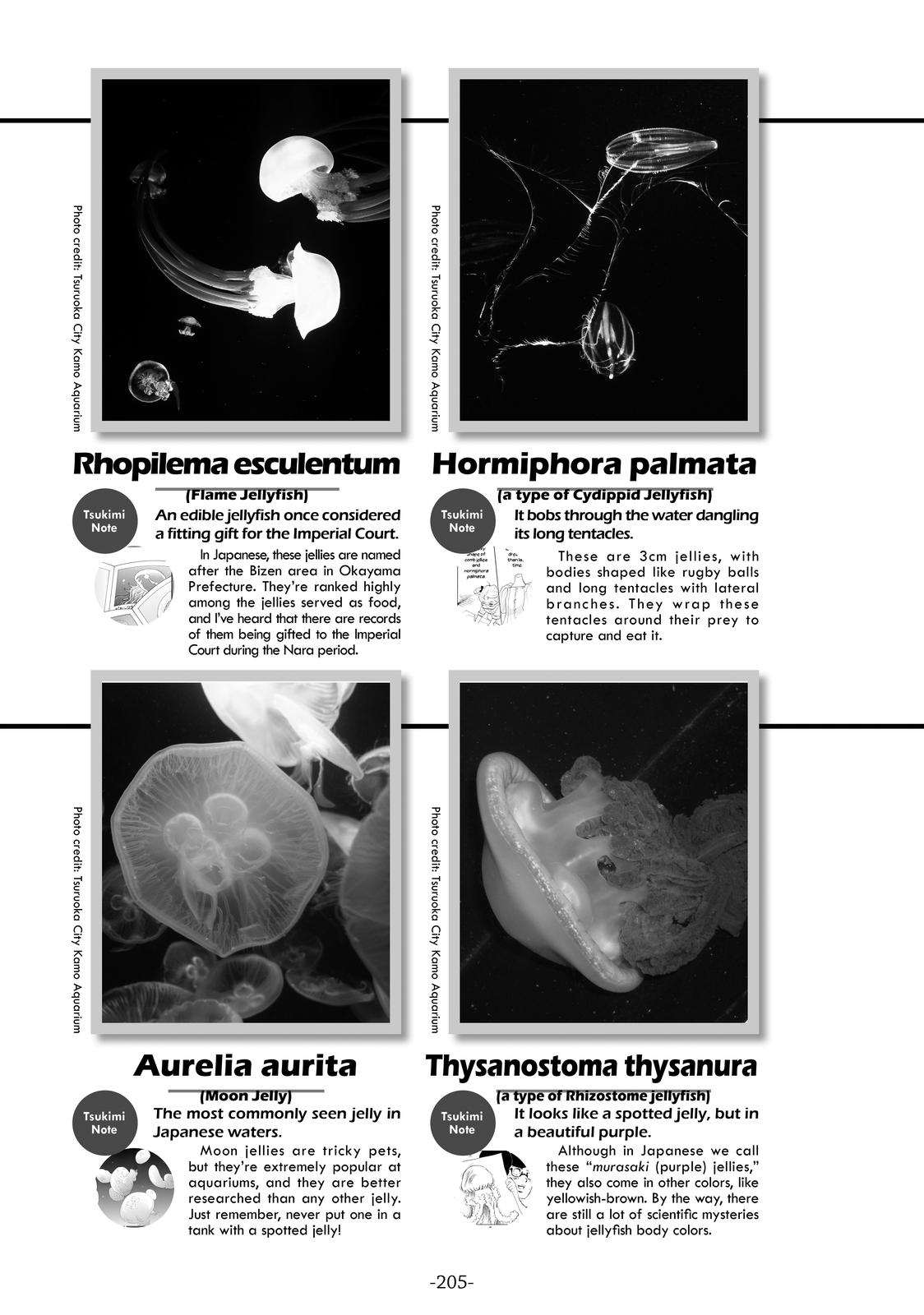 Read Princess Jellyfish EN Manga Online