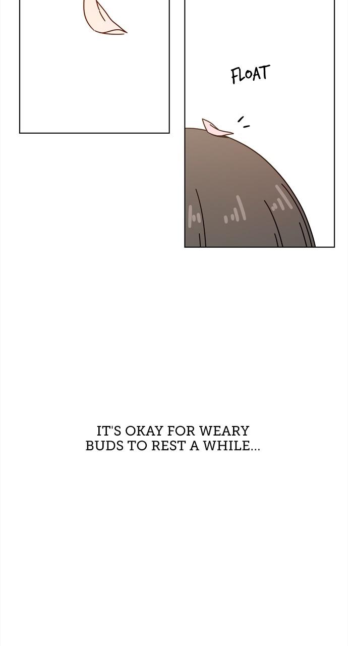 Read Seasons of Blossom EN Manga Online