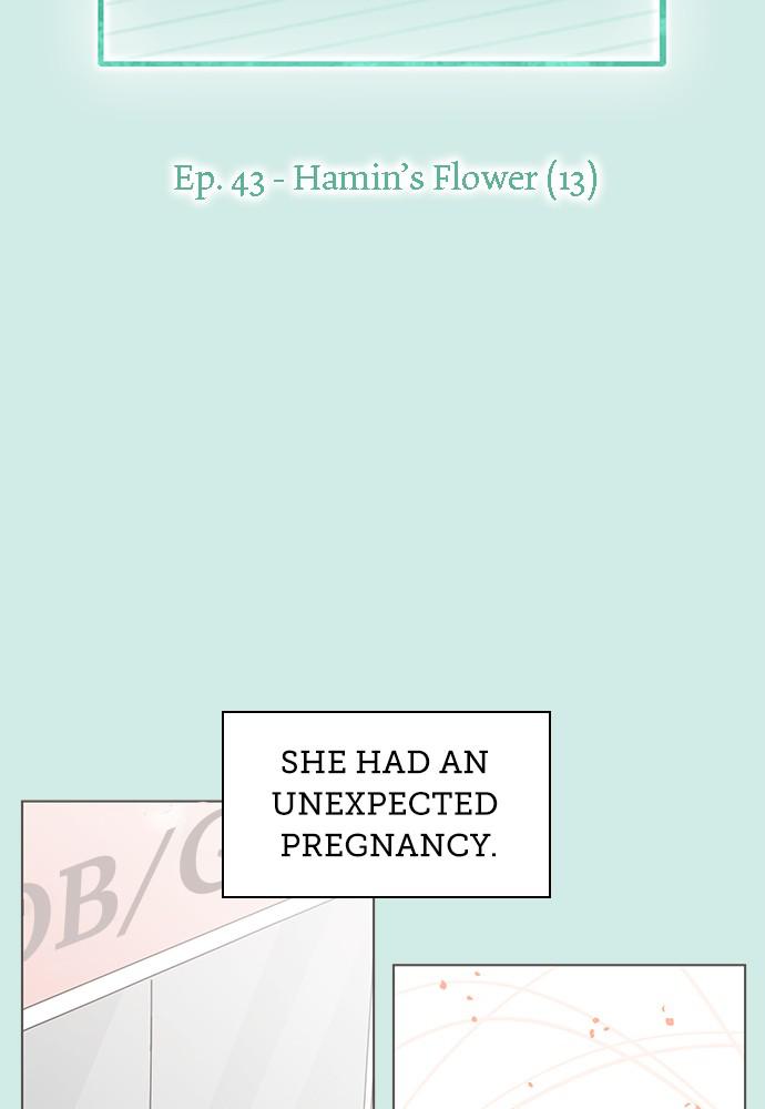 Read Seasons of Blossom EN Manga Online