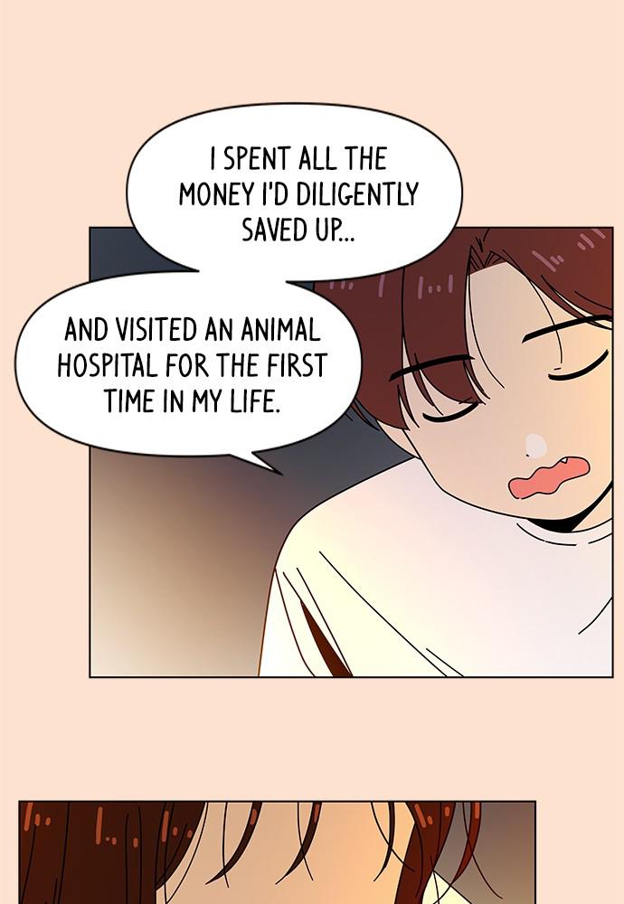 Read Seasons of Blossom EN Manga Online