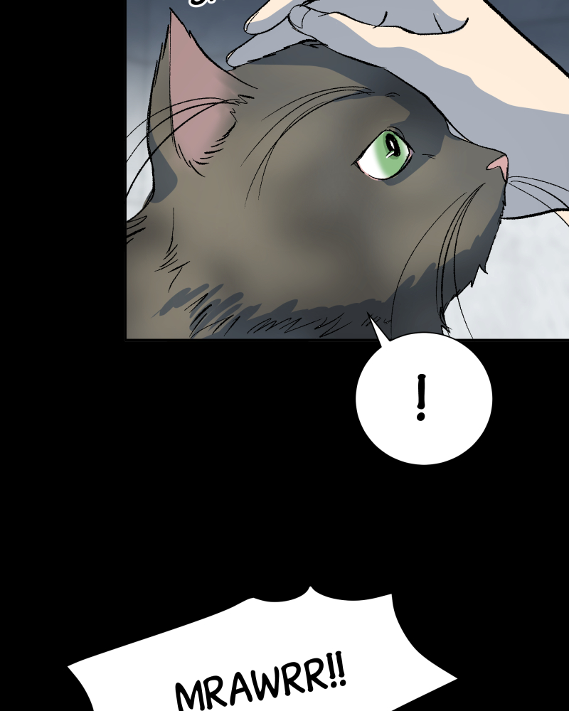 Read The Guy Upstairs EN Manga Online