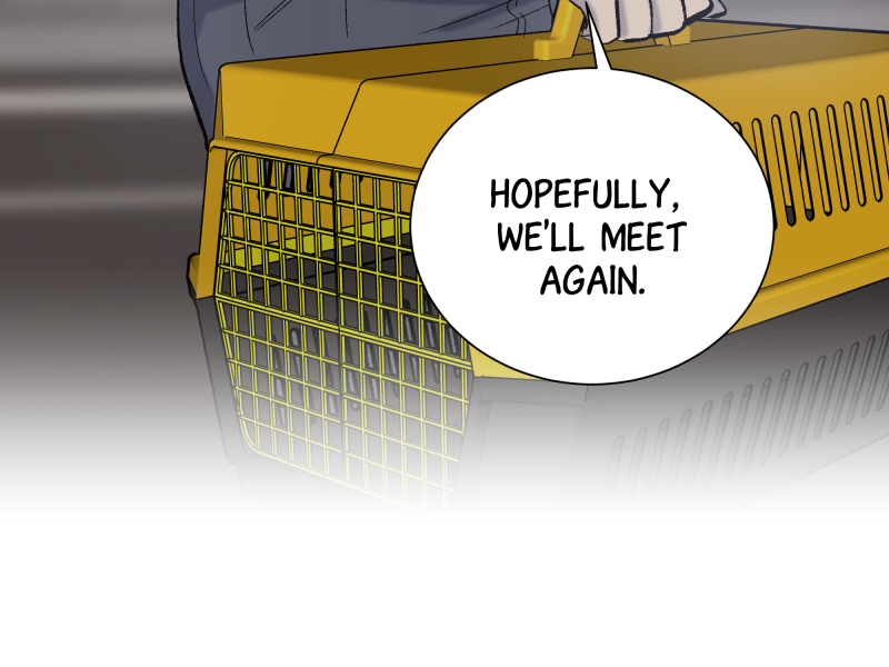 Read The Guy Upstairs EN Manga Online