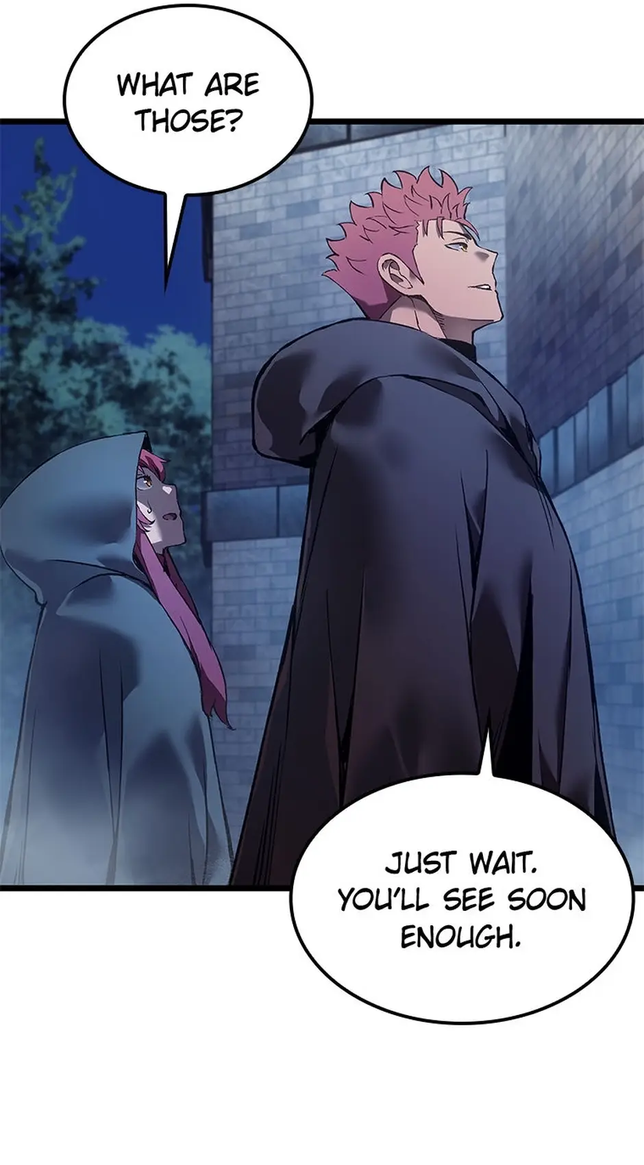 Read The Reincarnated King of Fists EN Manga Online