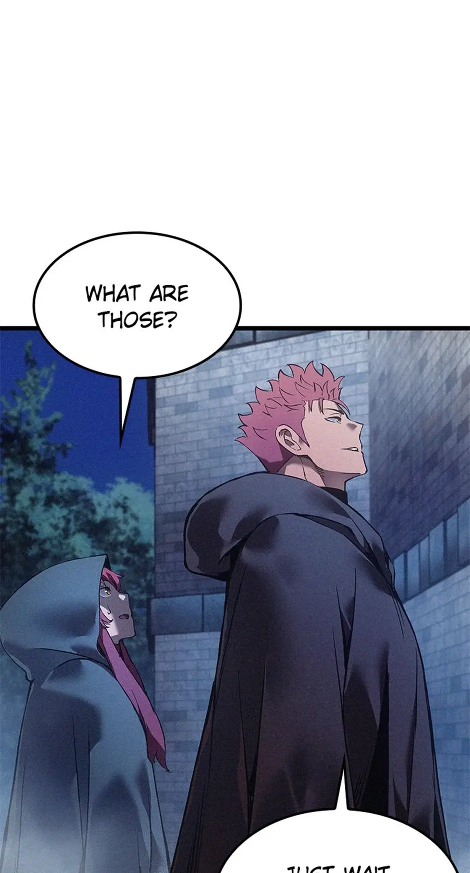 Read The Reincarnated King of Fists EN Manga Online