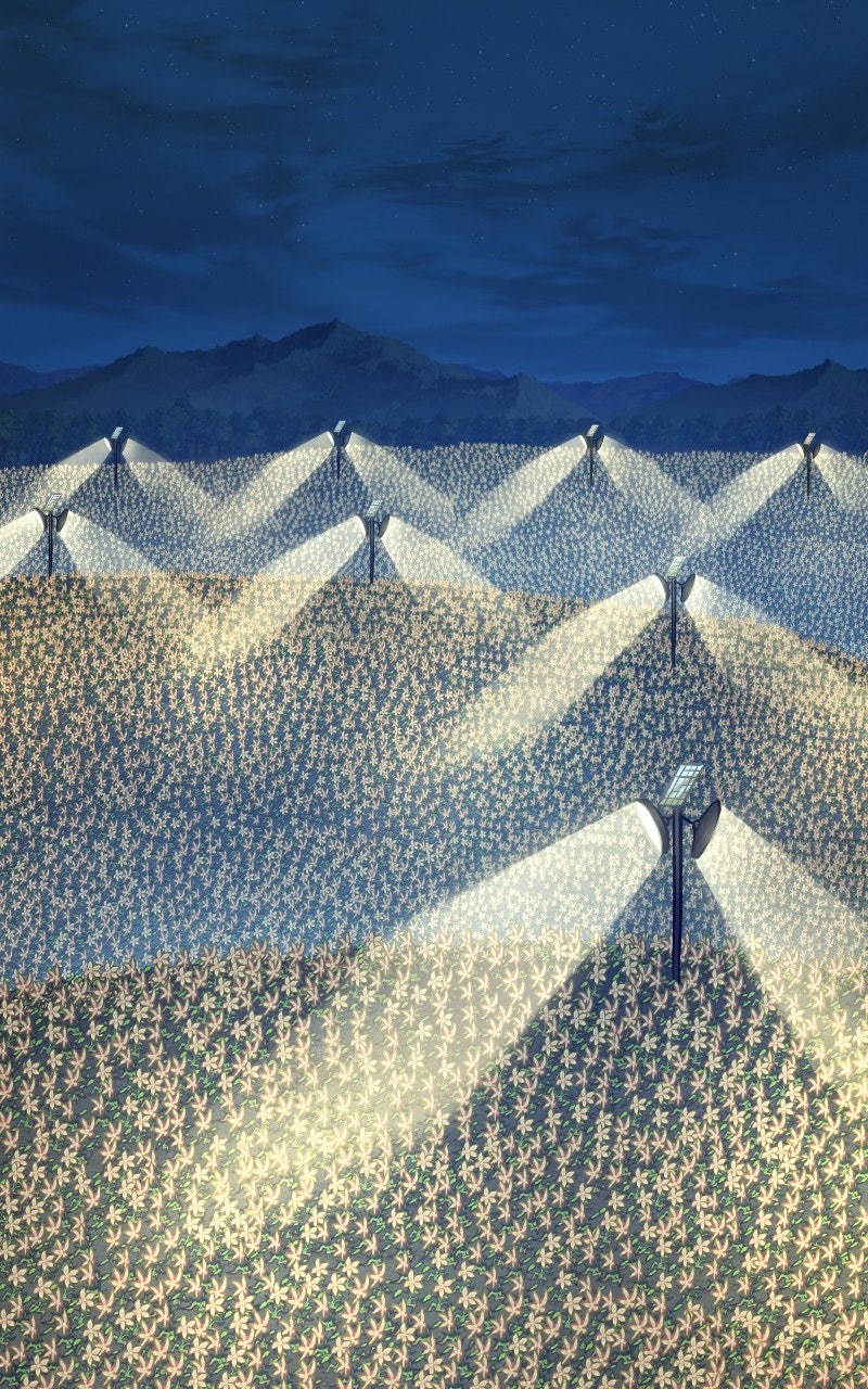 Read The Top Dungeon Farmer EN Manga Online