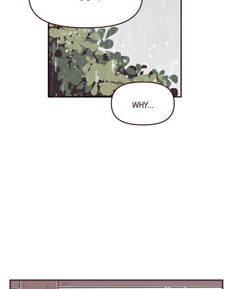 Read When The Day Comes EN Manga Online