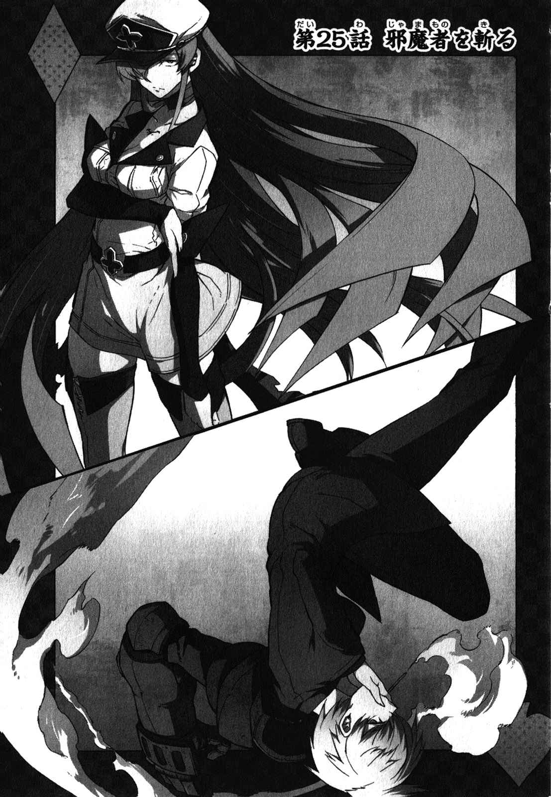 Read Akame ga Kill! ES Manga Online