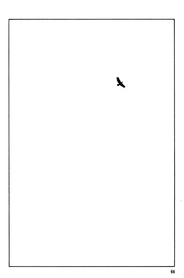 Read Beck ES Manga Online