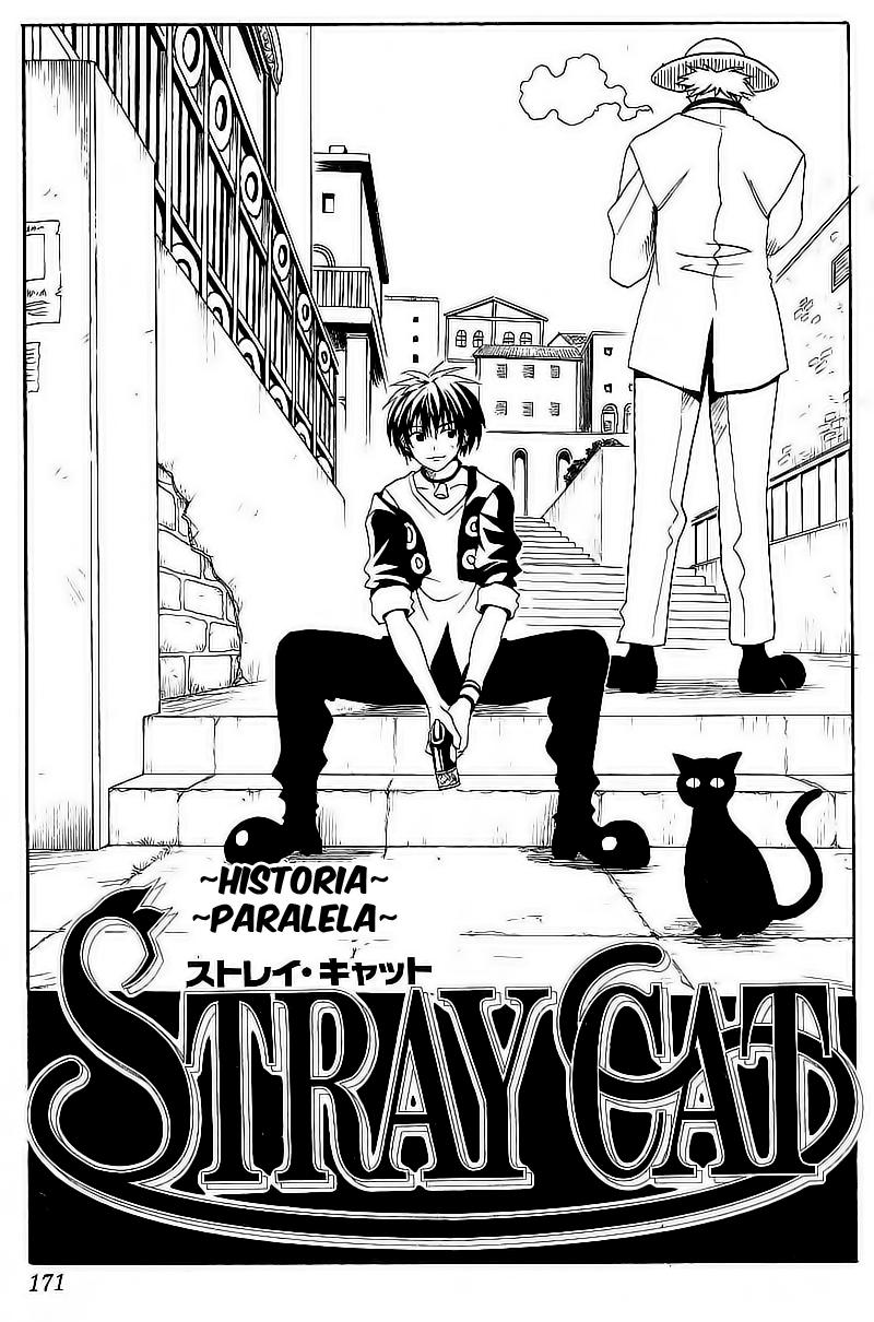 Read Black Cat ES Manga Online