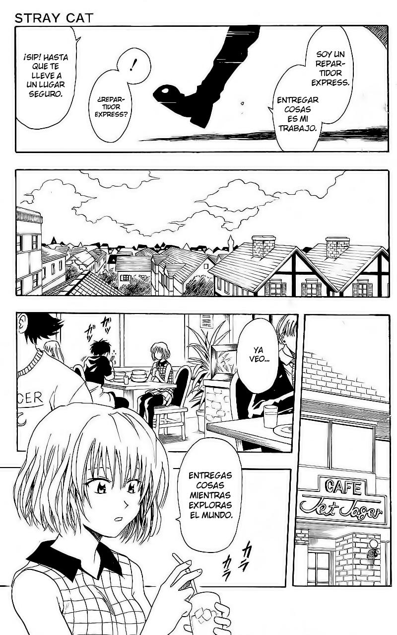 Read Black Cat ES Manga Online