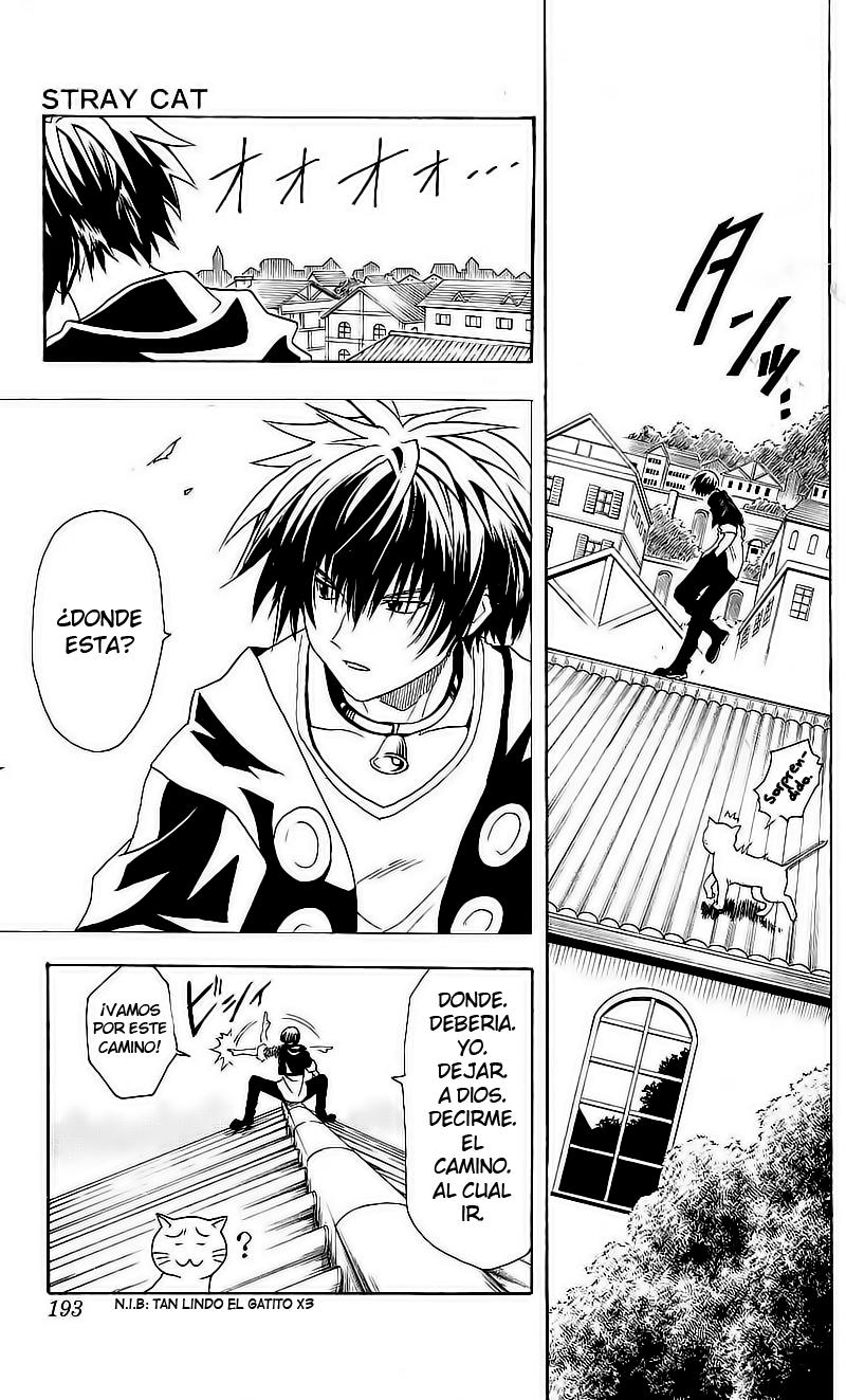 Read Black Cat ES Manga Online