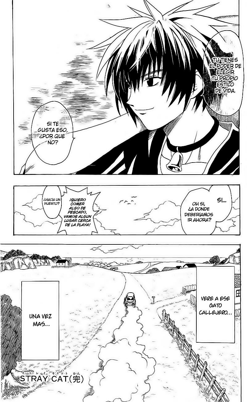 Read Black Cat ES Manga Online