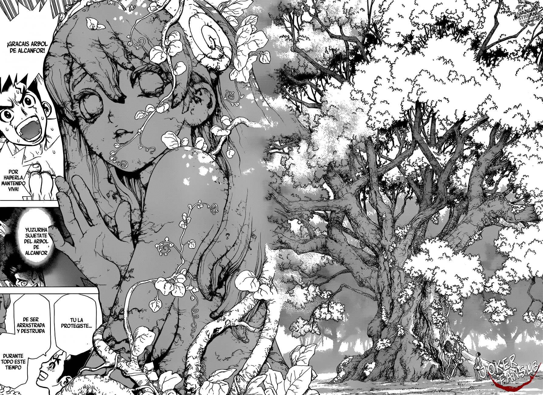Read Dr. Stone ES Manga Online