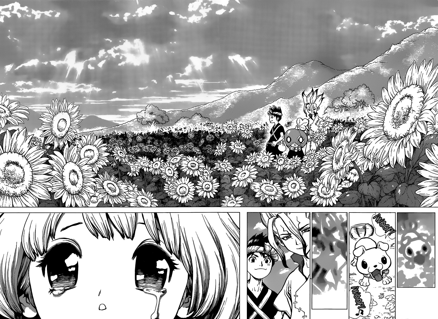 Read Dr. Stone ES Manga Online