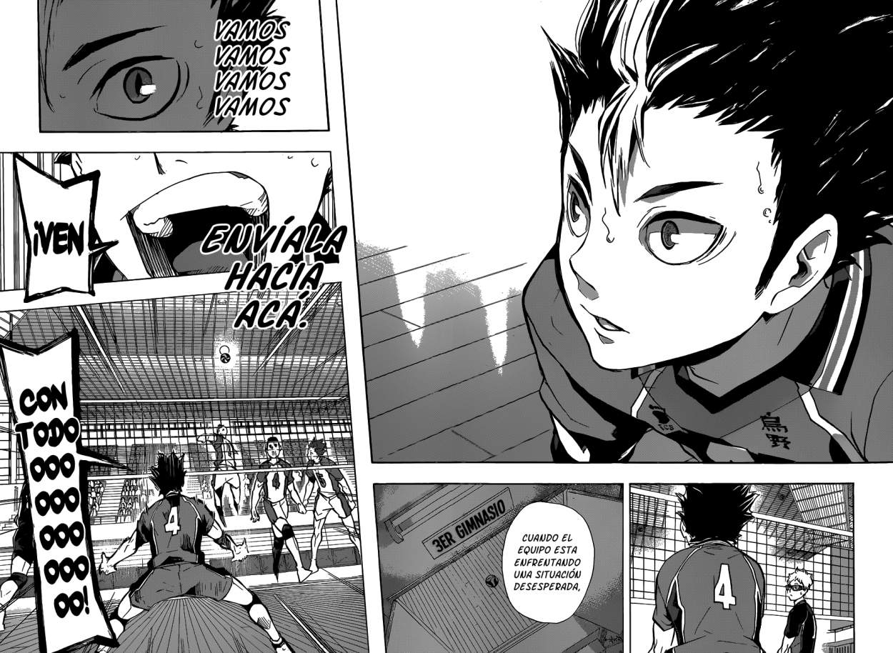 Read Haikyuu!! ES Manga Online