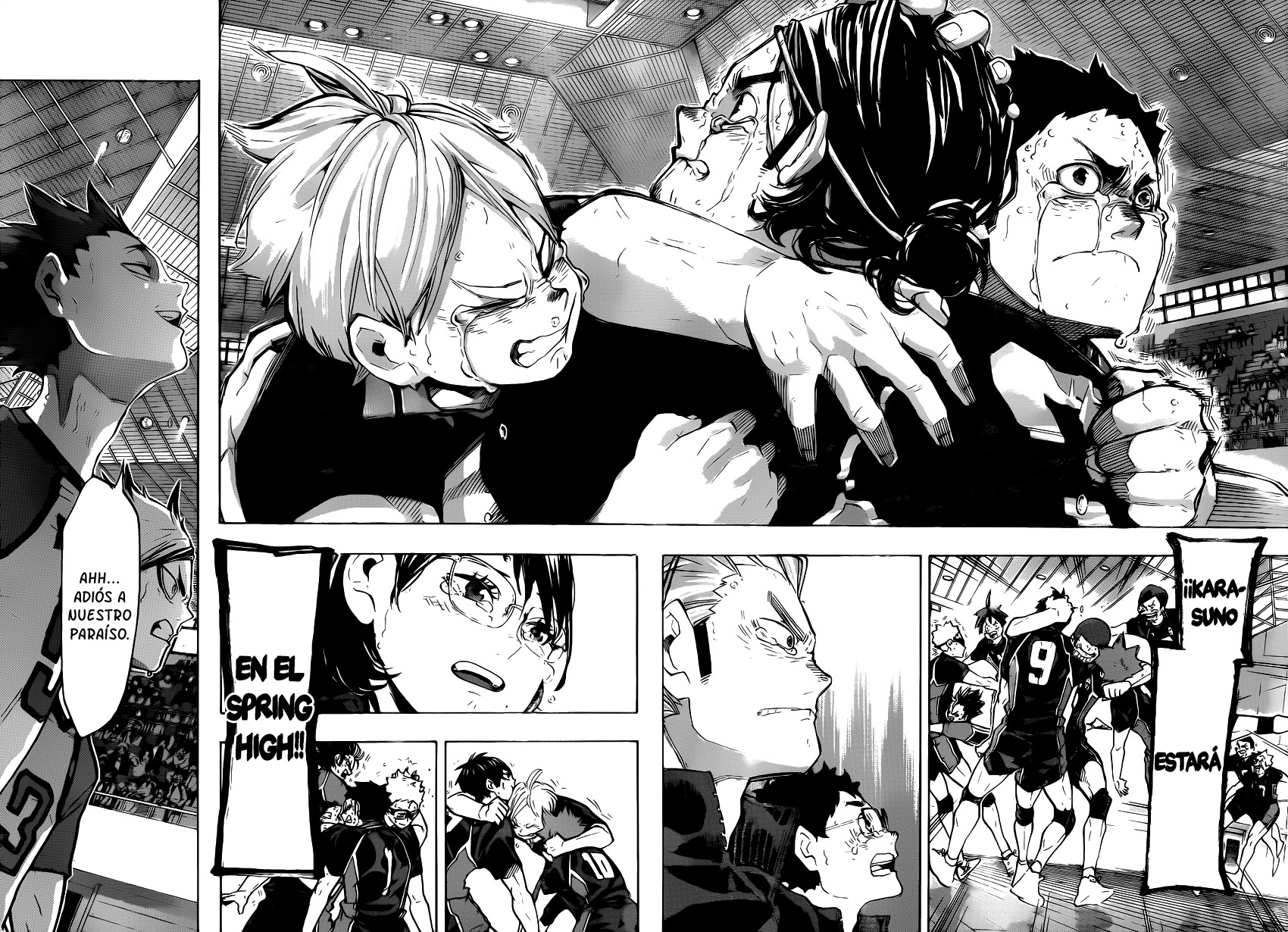 Read Haikyuu!! ES Manga Online