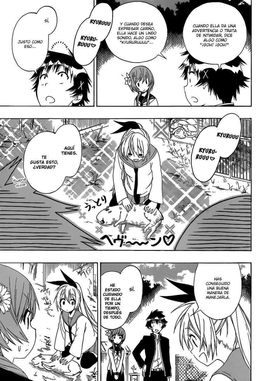 Read Nisekoi ES Manga Online