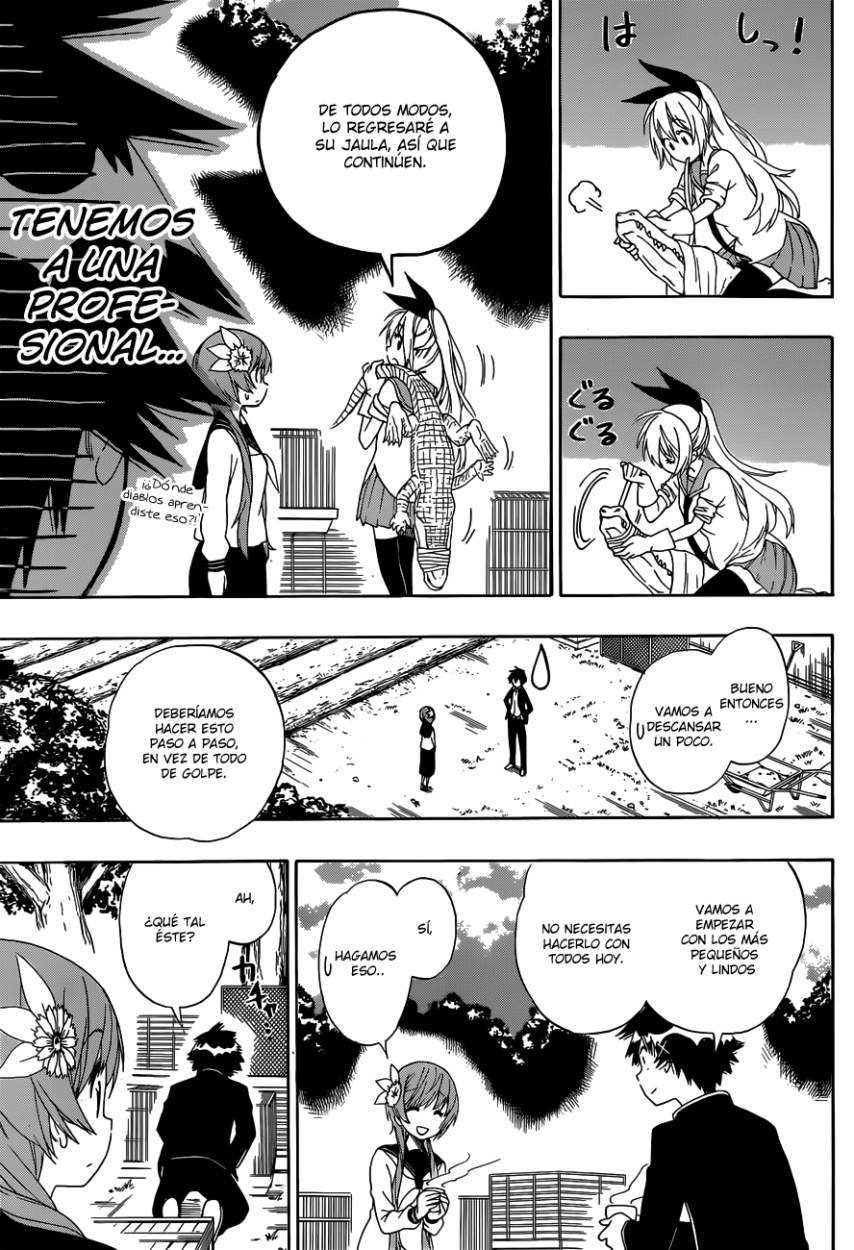 Read Nisekoi ES Manga Online