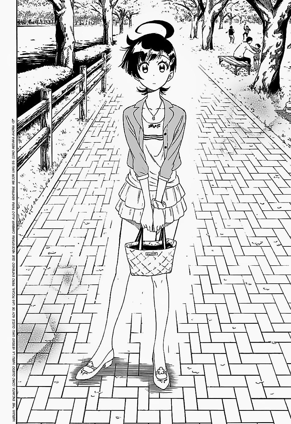 Read Nisekoi ES Manga Online