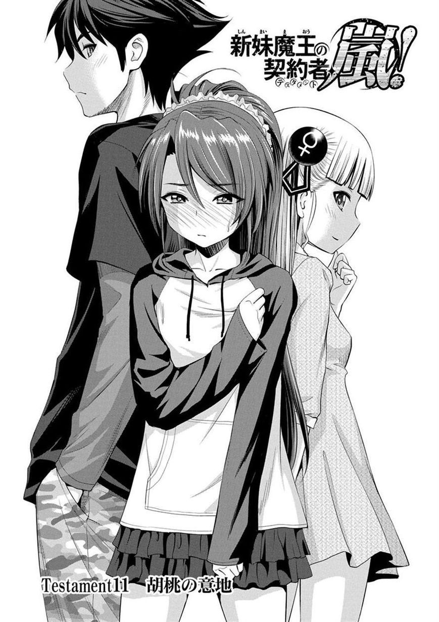 Read Shinmai Maou no Keiyakusha Testament Arashi! ES Manga Online